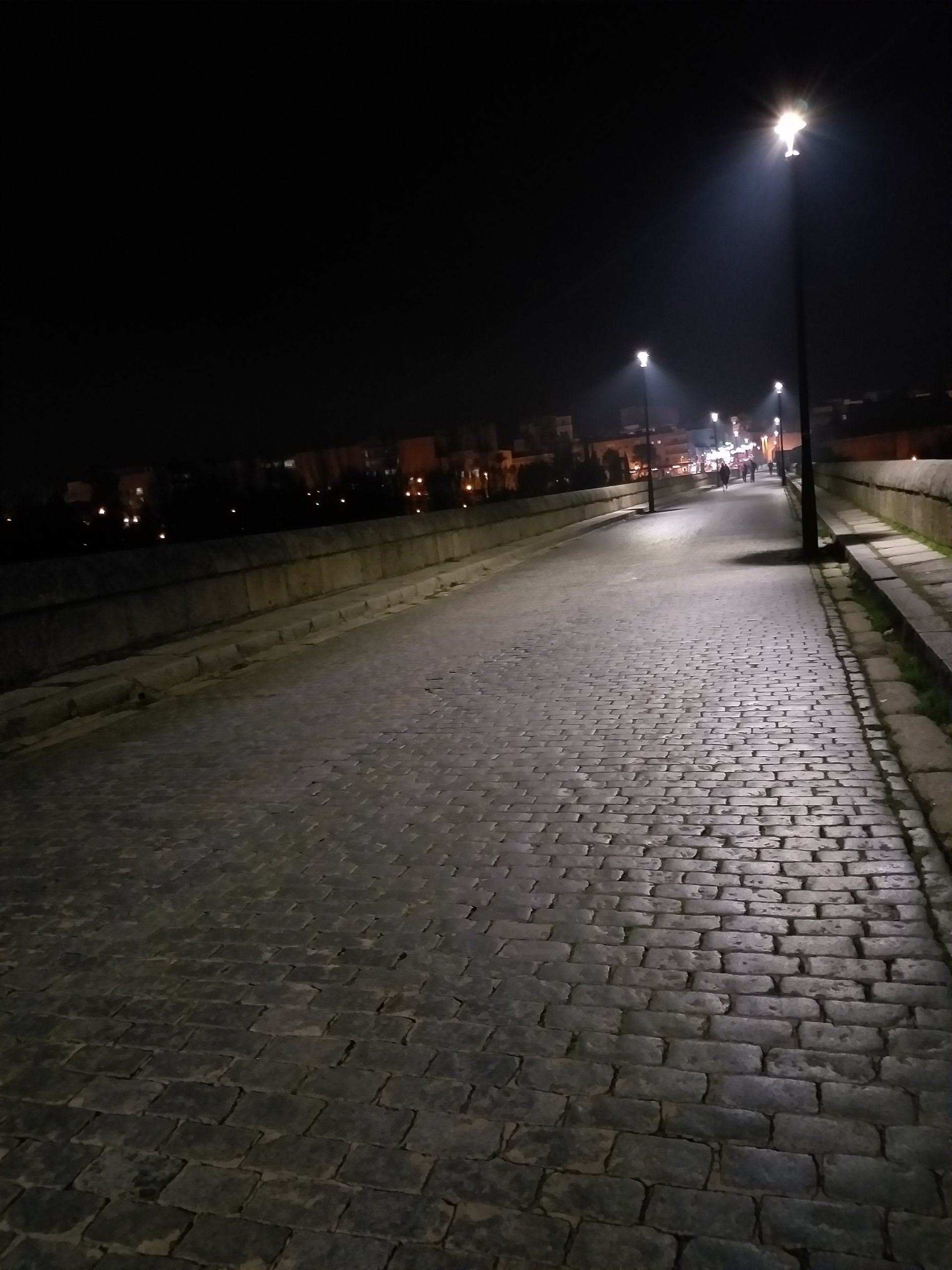 Mérida Puente Romano